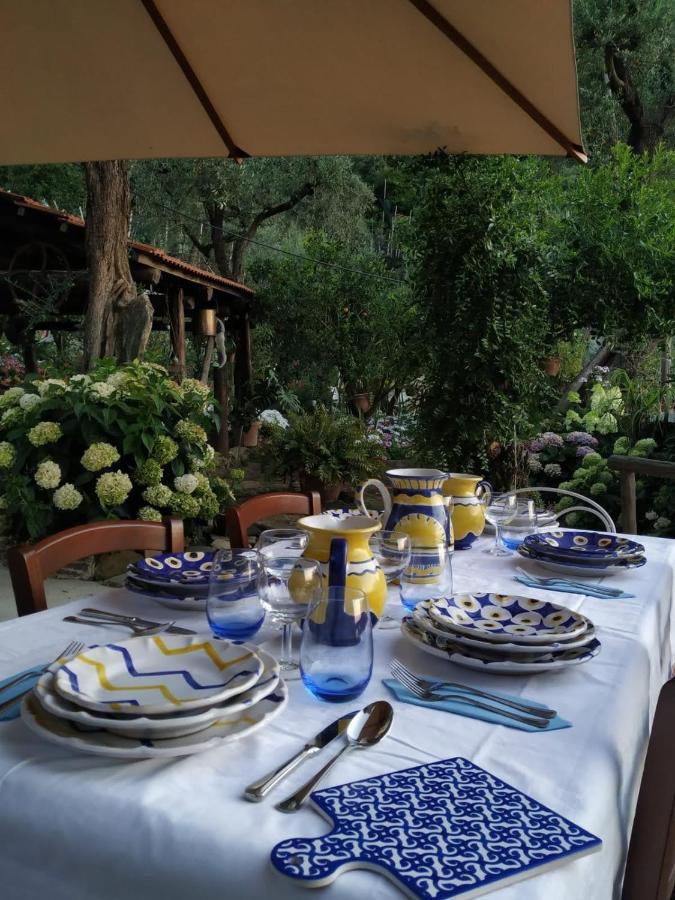 Da Rosali Bed & Breakfast Sorrento Exterior photo